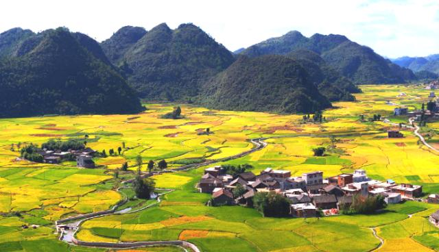 生態(tài)環(huán)境部、農(nóng)業(yè)農(nóng)村部發(fā)布《關(guān)于進一步推進農(nóng)村生活污水治理的指導(dǎo)意見》